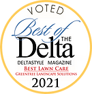 Best of The Delta Award 2021