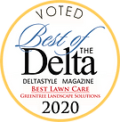 Best of the Delta Award 2020